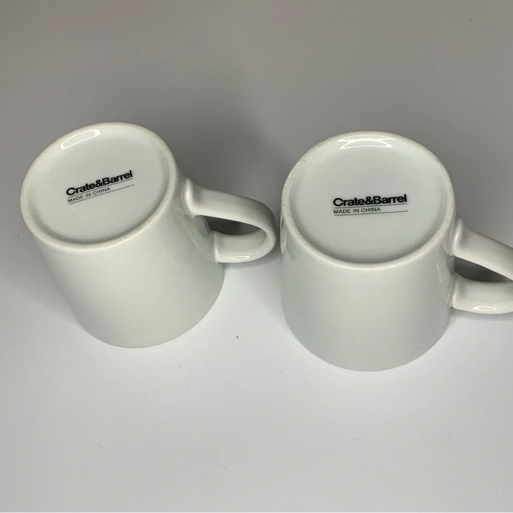 Crate&Barrel Teal and Orange Bird Mugs